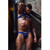 Breedwell Harnais Intimidator Breedwell Noir-Bleu